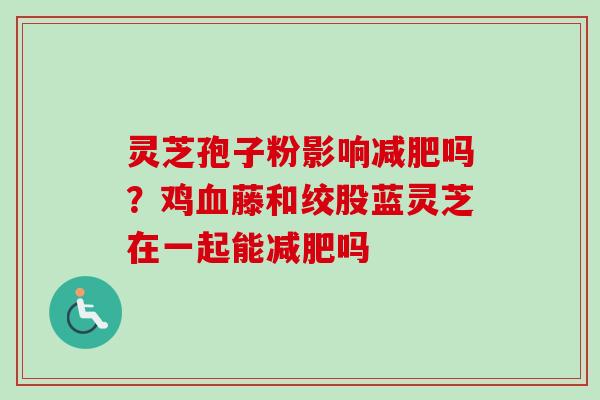 灵芝孢子粉影响减肥吗？鸡血藤和绞股蓝灵芝在一起能减肥吗