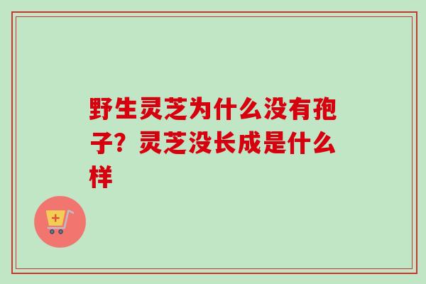 野生灵芝为什么没有孢子？灵芝没长成是什么样