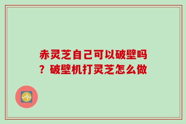 赤灵芝自己可以破壁吗？破壁机打灵芝怎么做