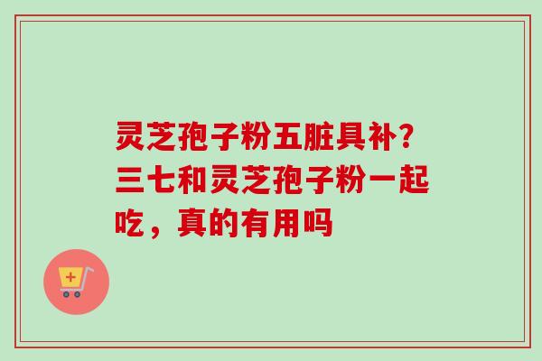 灵芝孢子粉五脏具补？三七和灵芝孢子粉一起吃，真的有用吗