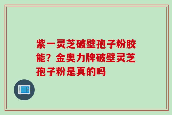 紫一灵芝破壁孢子粉胶能？金奥力牌破壁灵芝孢子粉是真的吗