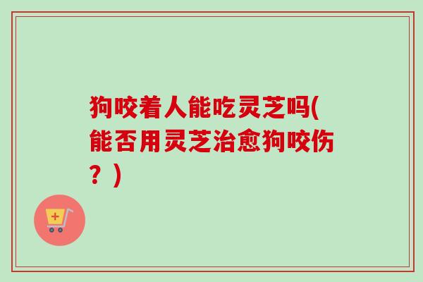 狗咬着人能吃灵芝吗(能否用灵芝治愈狗咬伤？)