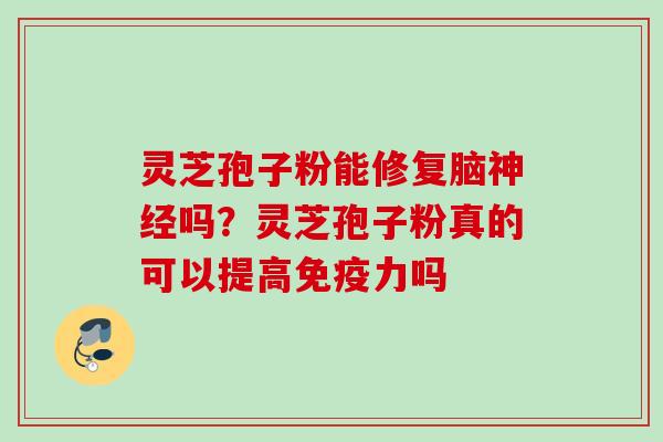 灵芝孢子粉能修复脑神经吗？灵芝孢子粉真的可以提高免疫力吗