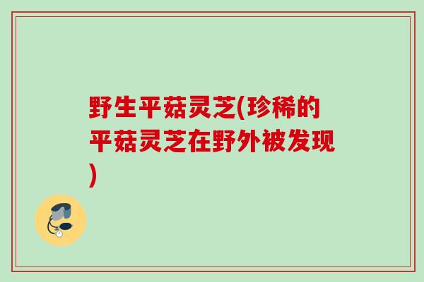 野生平菇灵芝(珍稀的平菇灵芝在野外被发现)