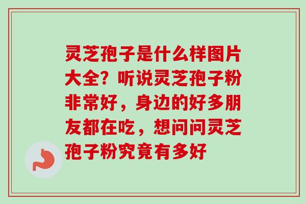 灵芝孢子是什么样图片大全？听说灵芝孢子粉非常好，身边的好多朋友都在吃，想问问灵芝孢子粉究竟有多好