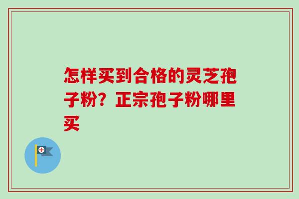 怎样买到合格的灵芝孢子粉？正宗孢子粉哪里买