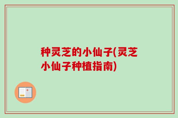 种灵芝的小仙子(灵芝小仙子种植指南)