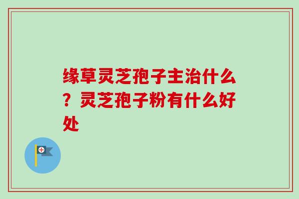 缘草灵芝孢子主治什么？灵芝孢子粉有什么好处