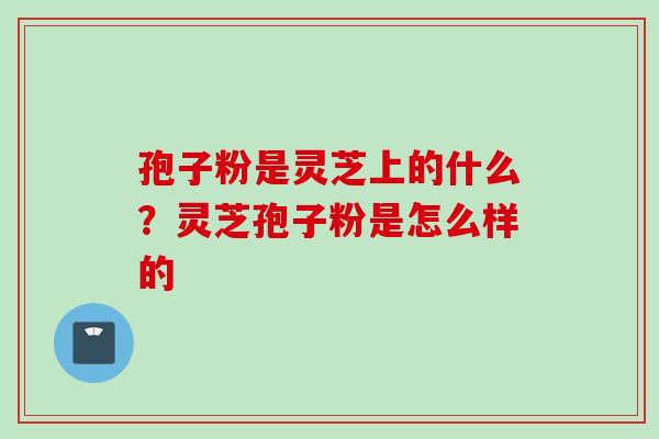孢子粉是灵芝上的什么?灵芝孢子粉是怎么样的 孢子粉是灵芝上的什么?灵芝孢子粉是怎么样的