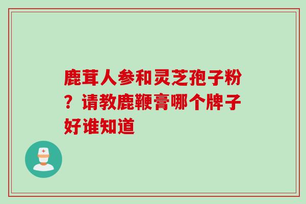 鹿茸人参和灵芝孢子粉？请教鹿鞭膏哪个牌子好谁知道
