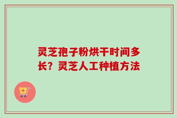 灵芝孢子粉烘干时间多长？灵芝人工种植方法