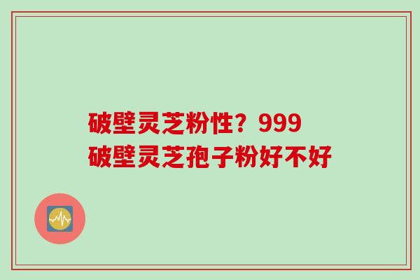 破壁灵芝粉性？999破壁灵芝孢子粉好不好