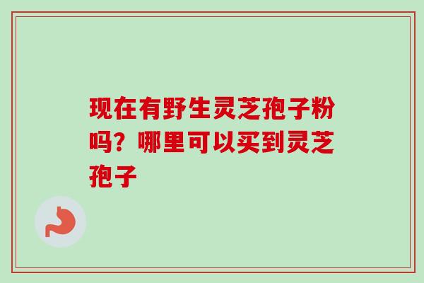 现在有野生灵芝孢子粉吗?哪里可以买到灵芝孢子 现在有野生灵芝孢子粉吗?哪里可以买到灵芝孢子