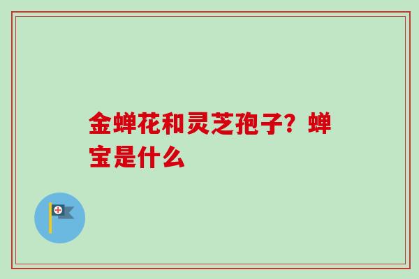 金蝉花和灵芝孢子？蝉宝是什么