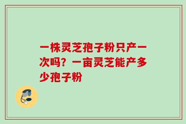一株灵芝孢子粉只产一次吗？一亩灵芝能产多少孢子粉