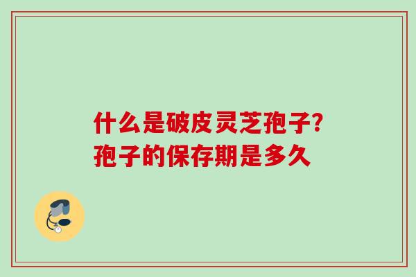 什么是破皮灵芝孢子？孢子的保存期是多久