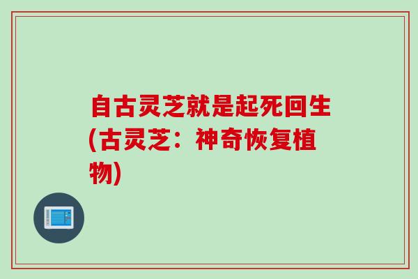 自古灵芝就是起死回生(古灵芝：神奇恢复植物)