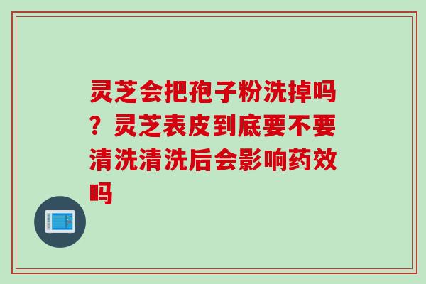 灵芝会把孢子粉洗掉吗？灵芝表皮到底要不要清洗清洗后会影响药效吗