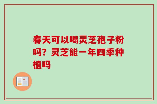 春天可以喝灵芝孢子粉吗？灵芝能一年四季种植吗