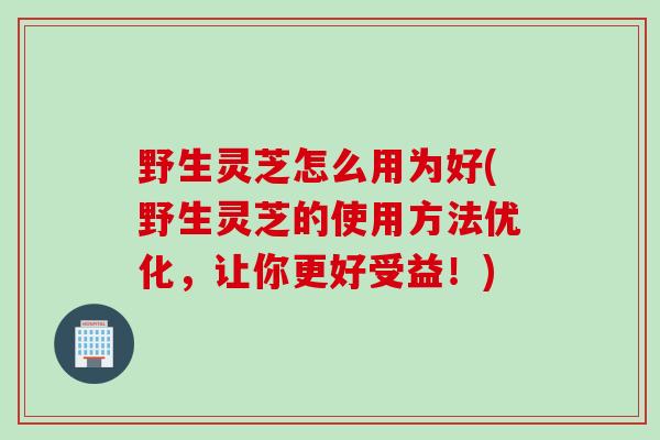 野生灵芝怎么用为好(野生灵芝的使用方法优化,让你更好受益!) 野生灵芝怎么用为好(野生灵芝的使用方法优化,让你更好受益!)