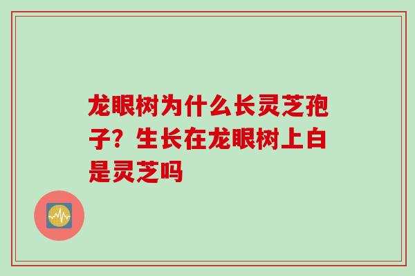龙眼树为什么长灵芝孢子？生长在龙眼树上白是灵芝吗