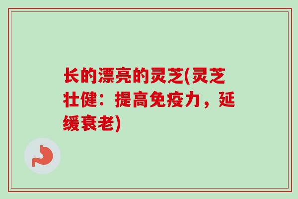 长的漂亮的灵芝(灵芝壮健:提高免疫力,延缓) 长的漂亮的灵芝(灵芝壮健:提高免疫力,延缓)