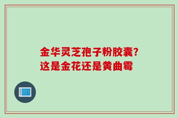 金华灵芝孢子粉胶囊？这是金花还是黄曲霉