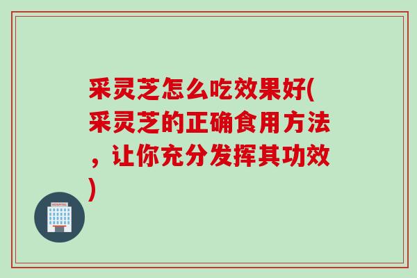 采灵芝怎么吃效果好(采灵芝的正确食用方法，让你充分发挥其功效)