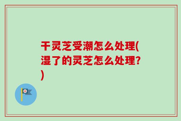 干灵芝受潮怎么处理(湿了的灵芝怎么处理？)