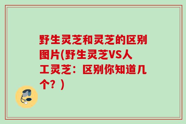 野生灵芝和灵芝的区别图片(野生灵芝VS人工灵芝：区别你知道几个？)