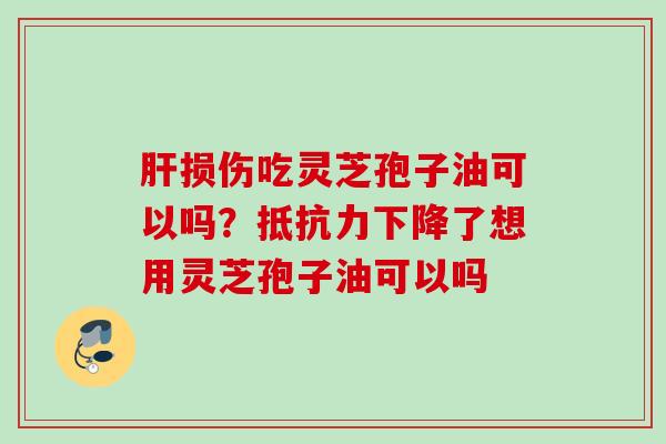 肝损伤吃灵芝孢子油可以吗？抵抗力下降了想用灵芝孢子油可以吗