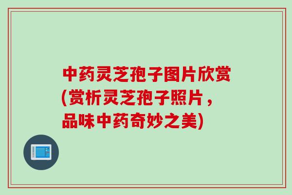 灵芝孢子图片欣赏(赏析灵芝孢子照片,品味奇妙之美) 灵芝孢子图片欣赏(赏析灵芝孢子照片,品味奇妙之美)