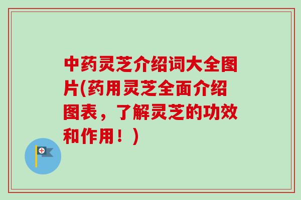 中药灵芝介绍词大全图片(药用灵芝全面介绍图表，了解灵芝的功效和作用！)