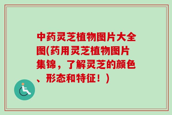 中药灵芝植物图片大全图(药用灵芝植物图片集锦，了解灵芝的颜色、形态和特征！)