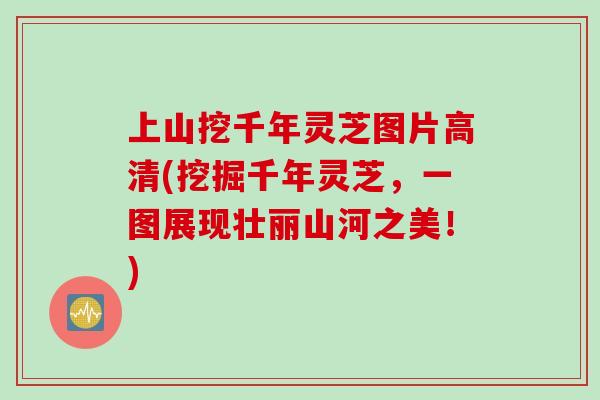 上山挖千年灵芝图片高清(挖掘千年灵芝，一图展现壮丽山河之美！)
