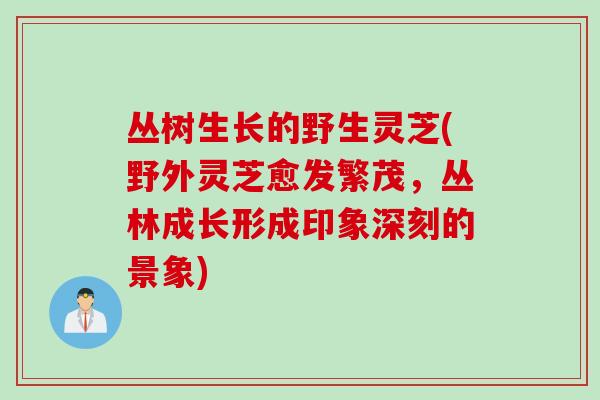 丛树生长的野生灵芝(野外灵芝愈发繁茂，丛林成长形成印象深刻的景象)