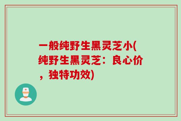 一般纯野生黑灵芝小(纯野生黑灵芝：良心价，独特功效)