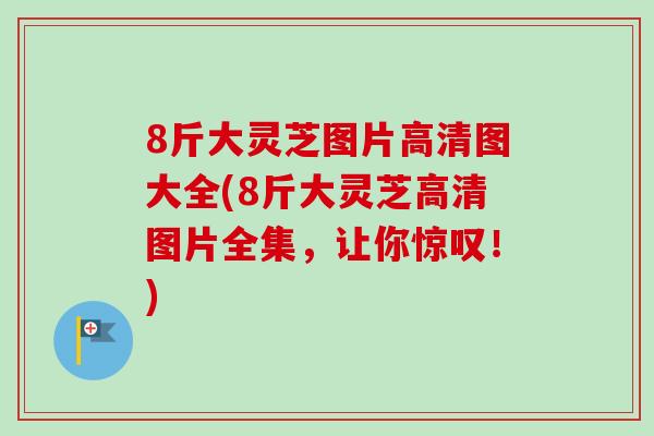 8斤大灵芝图片高清图大全(8斤大灵芝高清图片全集，让你惊叹！)