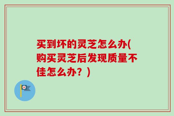买到坏的灵芝怎么办(购买灵芝后发现质量不佳怎么办?) 买到坏的灵芝怎么办(购买灵芝后发现质量不佳怎么办?)