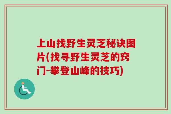 上山找野生灵芝秘诀图片(找寻野生灵芝的窍门-攀登山峰的技巧)