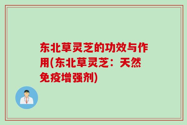 东北草灵芝的功效与作用(东北草灵芝：天然免疫增强剂)