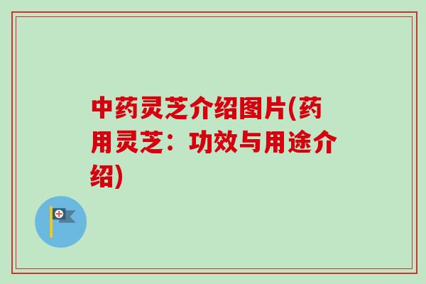 中药灵芝介绍图片(药用灵芝：功效与用途介绍)