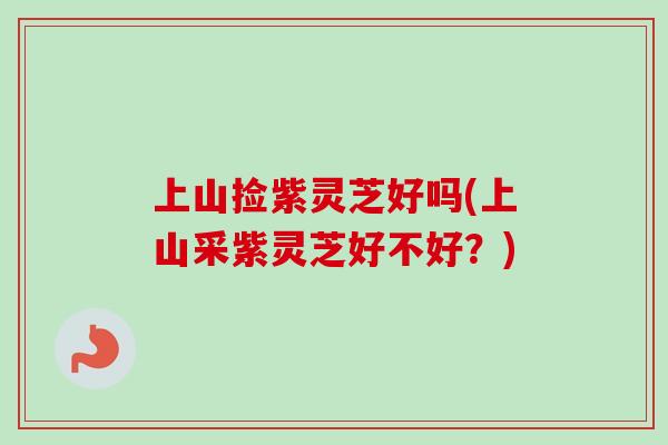 上山捡紫灵芝好吗(上山采紫灵芝好不好？)