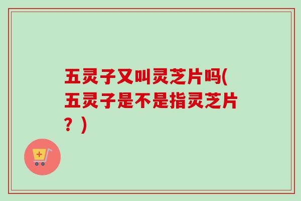 五灵子又叫灵芝片吗(五灵子是不是指灵芝片？)