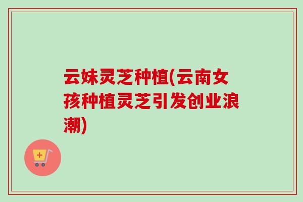 云妹灵芝种植(云南女孩种植灵芝引发创业浪潮)
