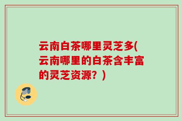 云南白茶哪里灵芝多(云南哪里的白茶含丰富的灵芝资源？)
