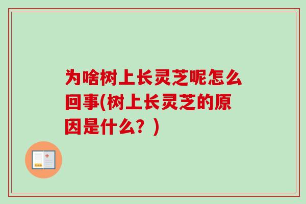 为啥树上长灵芝呢怎么回事(树上长灵芝的原因是什么？)