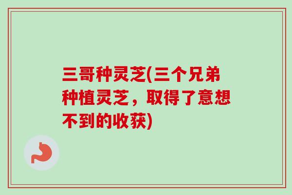 三哥种灵芝(三个兄弟种植灵芝，取得了意想不到的收获)