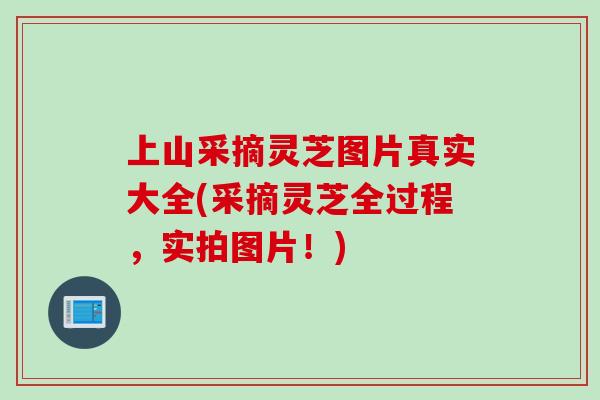 上山采摘灵芝图片真实大全(采摘灵芝全过程，实拍图片！)