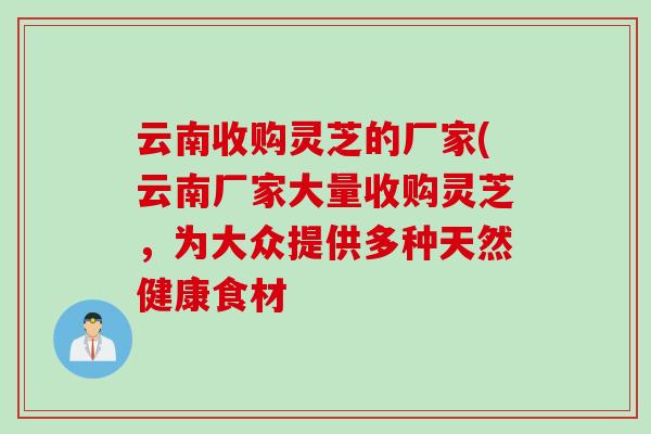 云南收购灵芝的厂家(云南厂家大量收购灵芝,为大众提供多种天然健康食材 云南收购灵芝的厂家(云南厂家大量收购灵芝,为大众提供多种天然健康食材